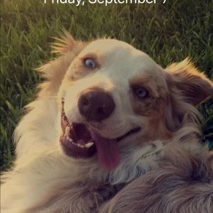 Meet your Posher, Tyler